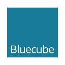 Bluecube Technology Solutions Ltd logo